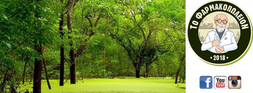 Facebook cover photo natural (2).png